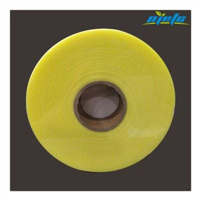 Klaasplast Tapa